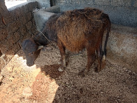 थंबनेल 2