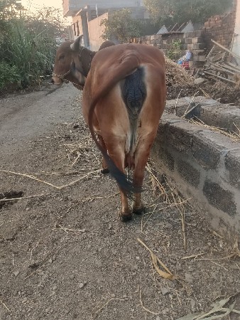 थंबनेल 2