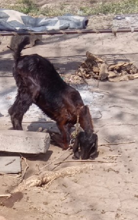 थंबनेल 3