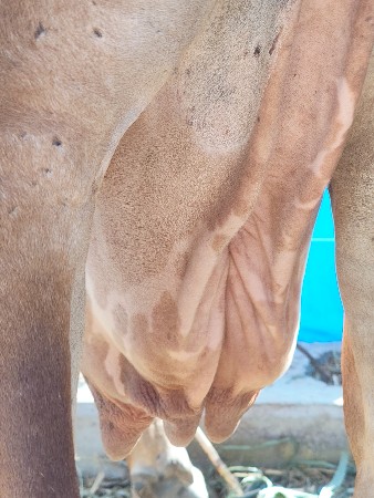 थंबनेल 2