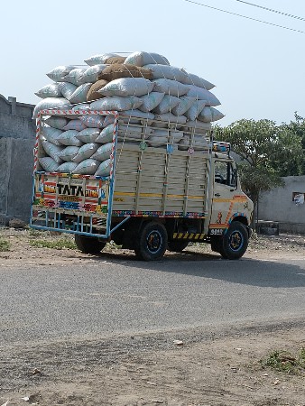 थंबनेल 3