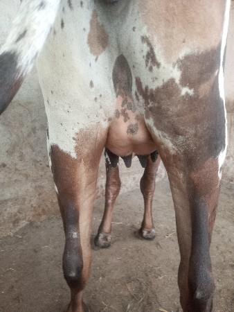 थंबनेल 3