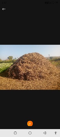 સોમત વસરા