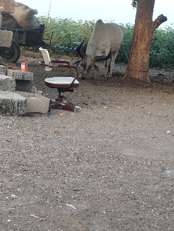 થંબનેલ 3