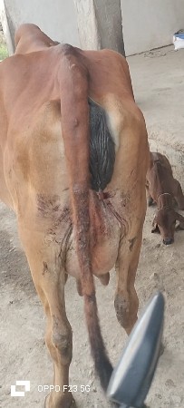 थंबनेल 3