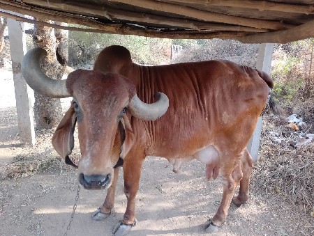 थंबनेल 2