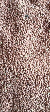 મગફળી 128 વેચવાની છે