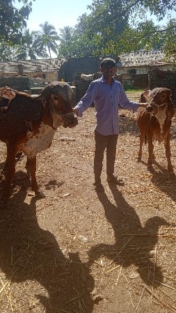 થંબનેલ 2