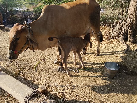 थंबनेल 3