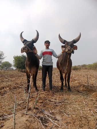 વેચવાના