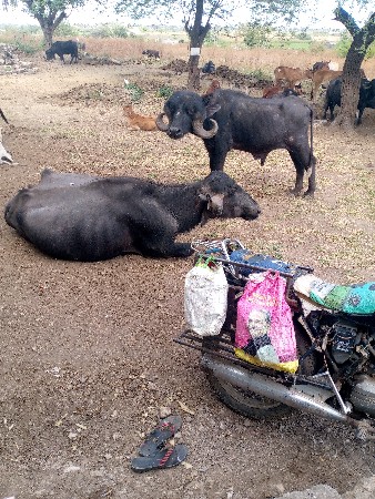 थंबनेल 2