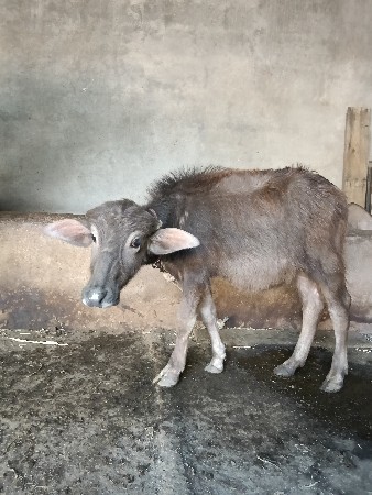 थंबनेल 3