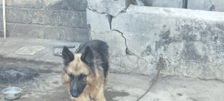 थंबनेल 2