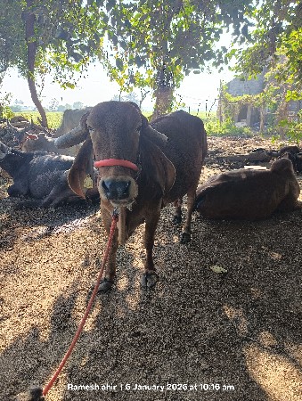 थंबनेल 3