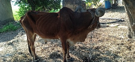 थंबनेल 2