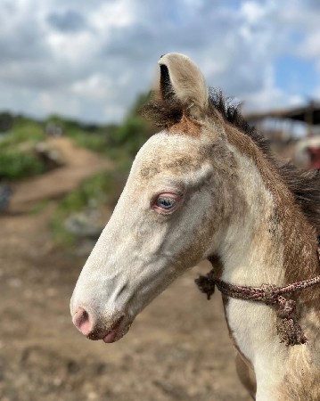 थंबनेल 3