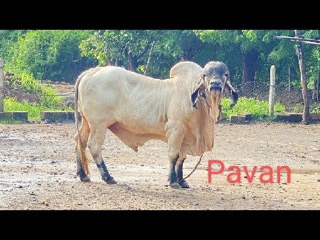 थंबनेल 3