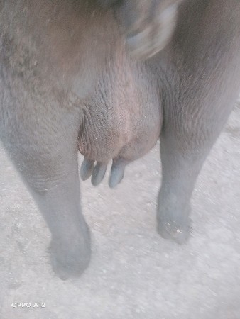 थंबनेल 3