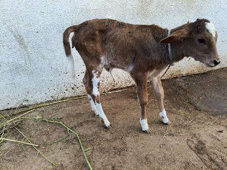 थंबनेल 2