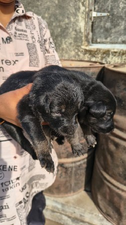 थंबनेल 3