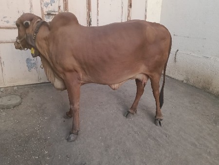 थंबनेल 3