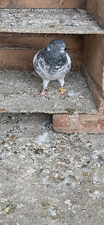 થંબનેલ 3