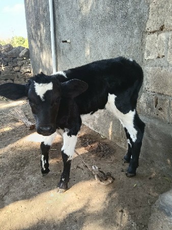 थंबनेल 3