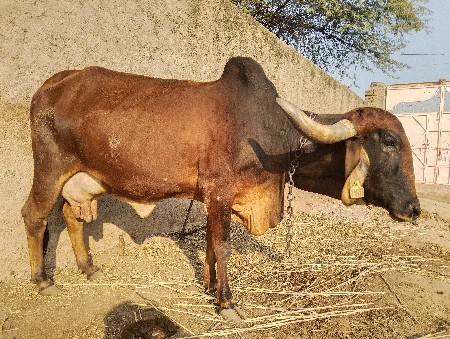 थंबनेल 2