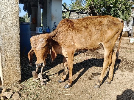 थंबनेल 2