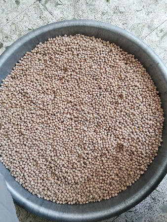 તુવેર બીયારણ માટે વેચવા નીછે