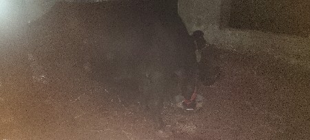 ખાતર વેચવાનું છે