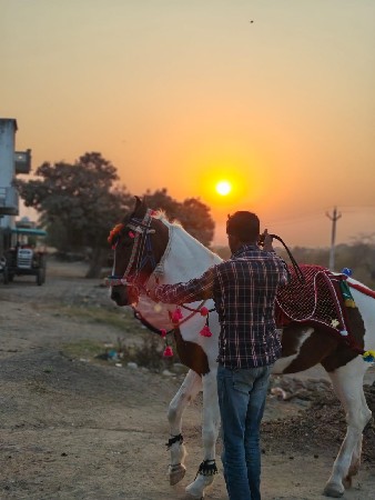 थंबनेल 2