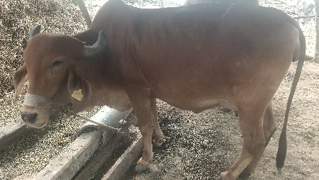 थंबनेल 2