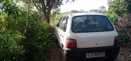 જેન વેશવાનીસે