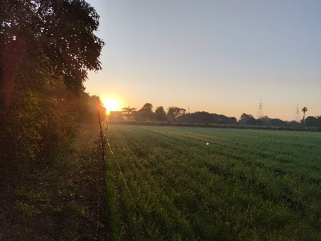 વાડી વેચવાની છે.......