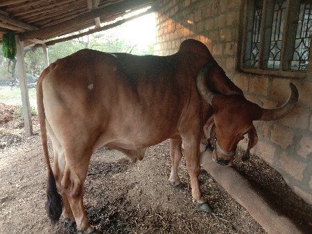 थंबनेल 3