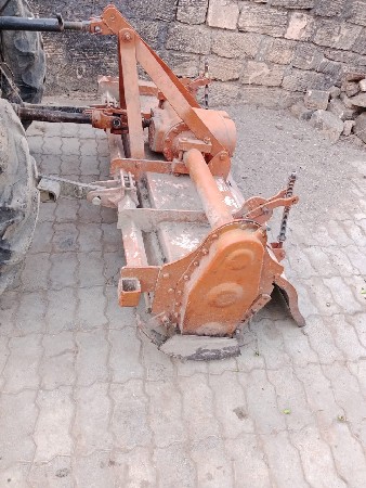 50ટકાબેલેડ