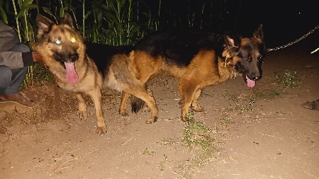 थंबनेल 3