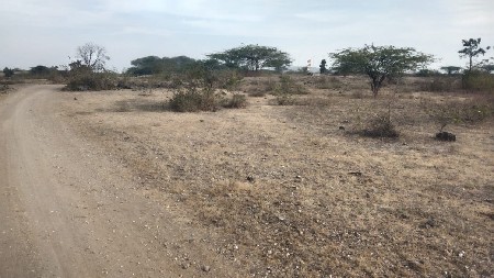 ખેતીની જમીન શ્રી સરકાર થયેલી છે