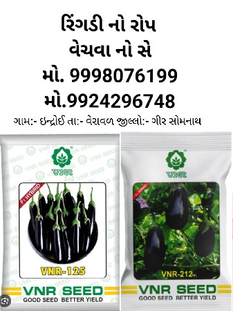 રિંગડી નો રોપ વેચવાનો સે