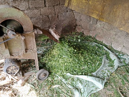 સાપ કટર વેચવાનું છે