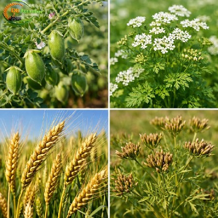 જૂનાગઢ થી નજીક 30 કિલોમીટર