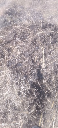 ખાતર વેચવાનુ છે