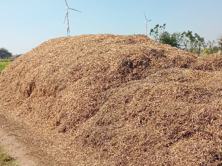 માડવી નો ભુકો વેચવાનો છે