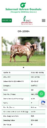 थंबनेल 6