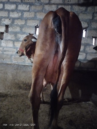 थंबनेल 2