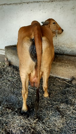 थंबनेल 3