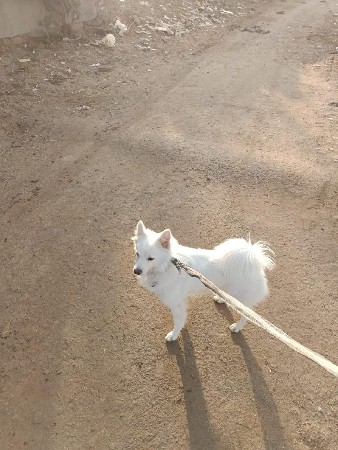 થંબનેલ 2