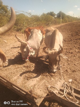 थंबनेल 3