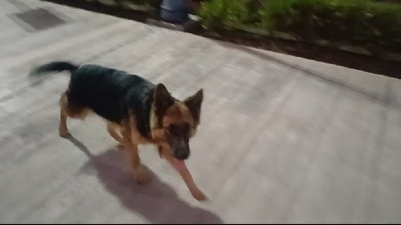 थंबनेल 3